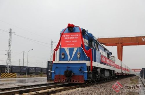 中老鐵路開通首月成效顯著 大通道激發(fā)沿線產(chǎn)業(yè)新活力