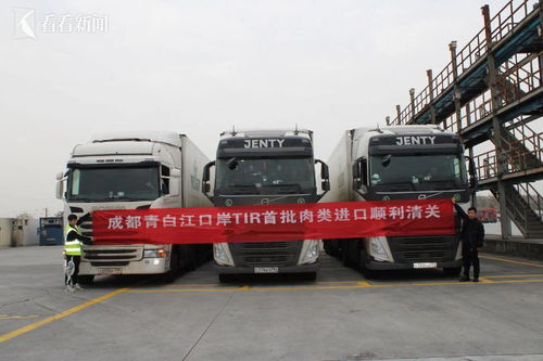 一紙標(biāo)識(shí)通四方 探秘公路貨運(yùn)跨境直達(dá)的“通行證”